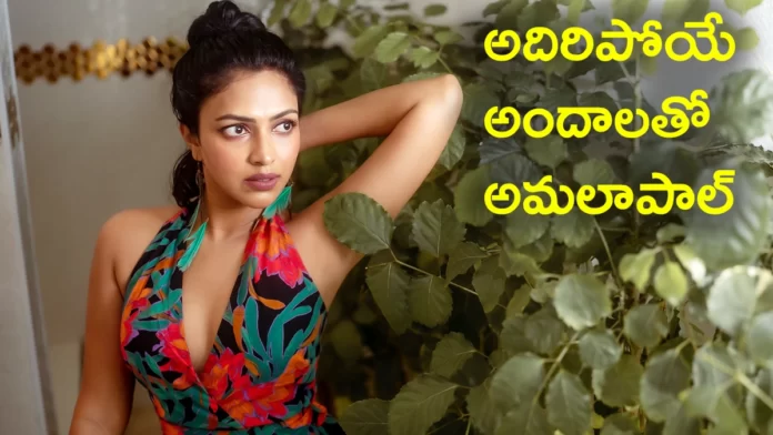 actress amalapaul hot photos