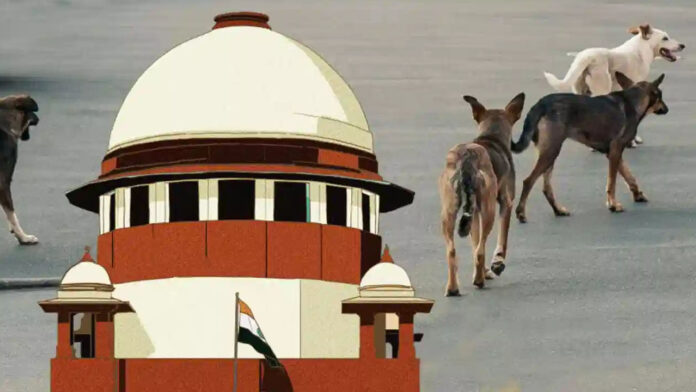 Stray dog case..Supreme Court issues stern warning to CSs Stray dog case..Supreme Court issues stern warning to CSs