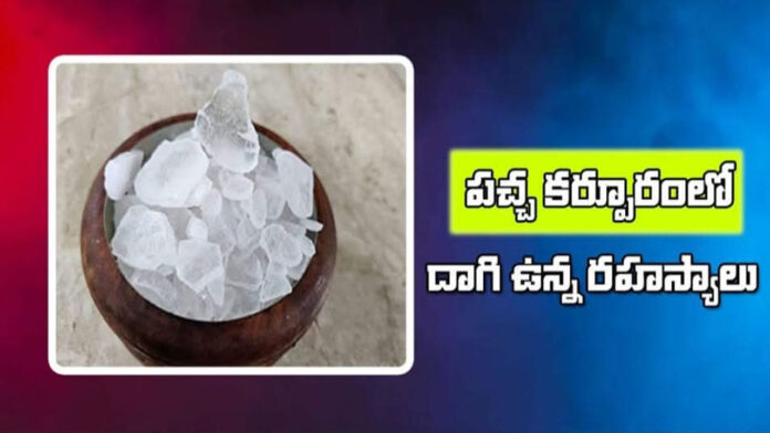 benefits of using pacha karpuram