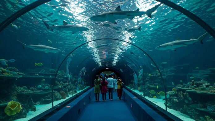 Another new attraction for Hyderabad... a world-class tunnel aquarium