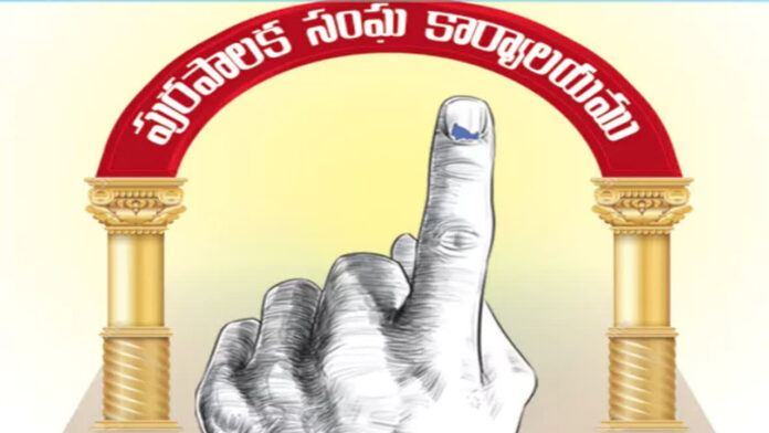 Municipal elections in February?: Government's plan