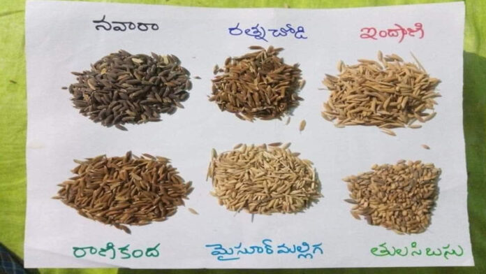 There's no need to eat white rice...information that tells you which rice is better..