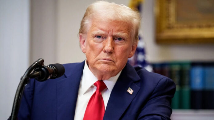 Trump's controversial comments on birthright citizenship in the US