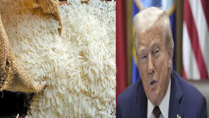 US tariff threats again: Trump warns on Indian rice