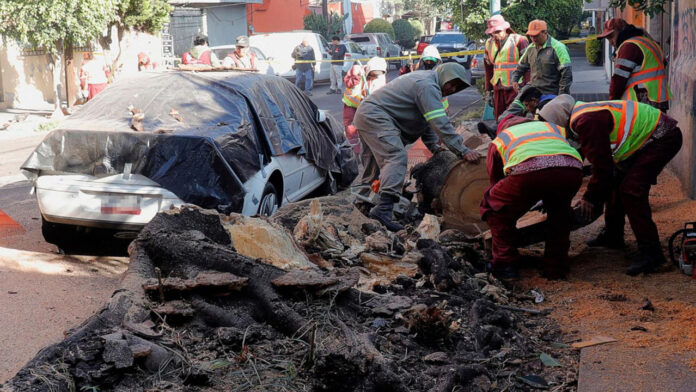 A massive earthquake measuring 6.5 on the Richter scale struck Mexico