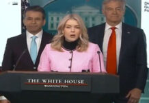 గ్రీన్లాండ్ను కొనేస్తాం.. స్పష్టం చేసిన వైట్హౌస్ We will buy Greenland.. the White House has clarified